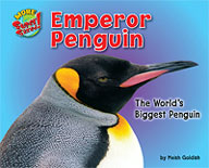Emperor Penguin: The World's Biggest Penguin