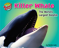 Killer Whale: The World's Largest Dolphin