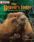 The Beaver's Lodge: Building with Leftovers